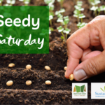 Seedy Saturday graphic with hand planting seeds
