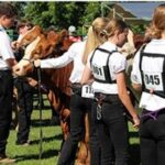 competitors in the cattle showing at the Agricultural Fair
