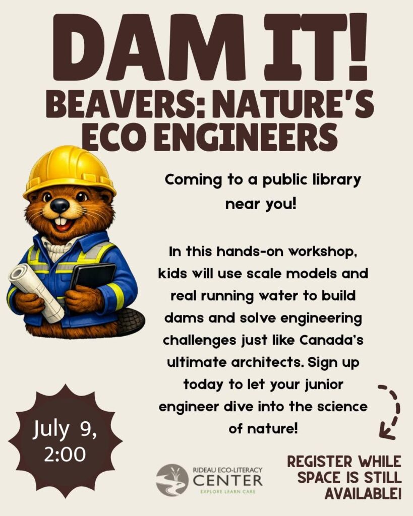 Poster for Beaver Dam workshop on July 9
