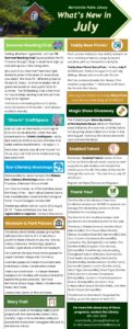 library activities in July